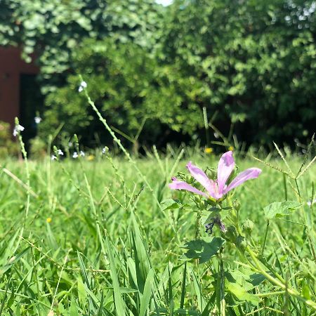 Apartmani Pavicevic Podgorica Kültér fotó